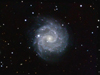 ngc3184.jpg (419731 bytes)