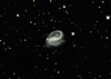 ngc7479.jpg (114706 bytes)