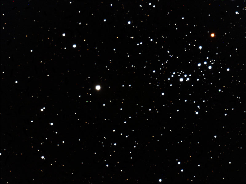 NGC884